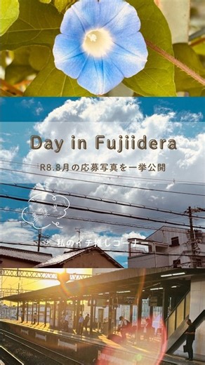 【写真募集中！】私のイチ推し応募写真スライドショー(R8.8月分)