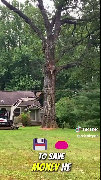 Huge Oak Tree Take Down Near House #Bigtree #Chainsawman #Arborist #Logging #Chainsaw