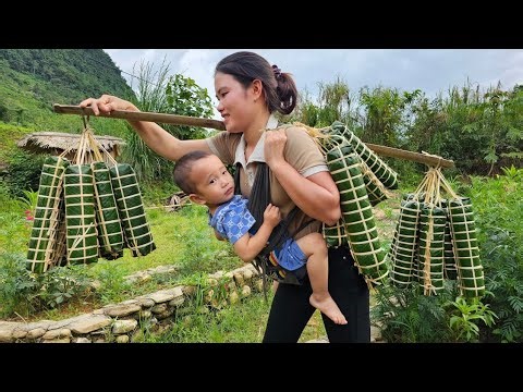 Traditional Banh Tet Making | Step-by-Step Vietnamese Specialty for the Market