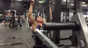 83K views · 5.3K reactions | It's like the excitement of training at a new gym...All new equipment arrived yesterday at @thewarhousegym from @primefitnessusa and I love playing on all the new stuff... #kidinacandystore #ifthatstorewasagymstore | Dana Linn Bailey | Facebook