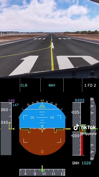 Understanding Pilot Terminology: Man Flex, SRS, Runway, Autothrust Blue Explained