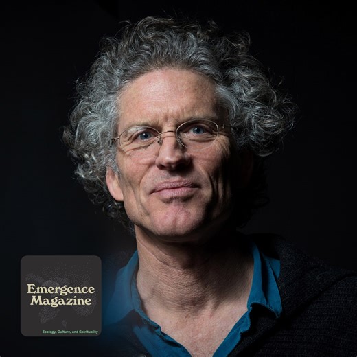 An Ethics of Wild Mind – A Conversation with David Hinton