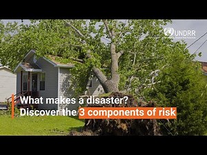 What makes a disaster? Discover the 3 components of risk | UNDRR
