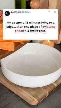 My Ex Thought He Outsmarted the Court... Then His Own Evidence Destroyed Him
