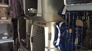 12K views · 1.3K reactions | We're getting closer to picking up our...