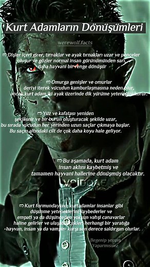 Kurt Adam Nasıl Olunur? Werewolf Gerçeği