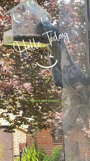 suezy (@sueworthington23)’s videos with original sound - suezy