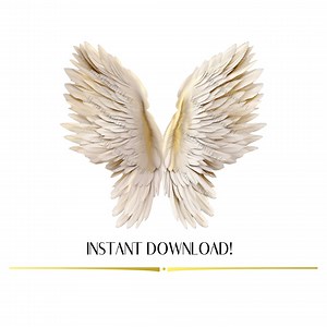 Angel Wings PNG, Angel Wings Clipart, Angel Wings Overlay, Realistic Wings, Memorial Design, White Wings, Digital Overlays, Instant Download - Etsy Canada