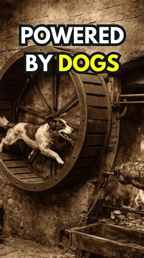 Turnspit Dogs: When Dogs Powered Kitchens