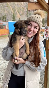 Alaska excursions review! Shore Excursions Group #alaska #travel #reels #cruiseship | KarissaEats