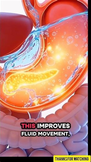 What Happens When You Drink Warm Water on an Empty Stomach? 💧🧠 #healthtips #learnonyt #shorts