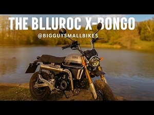 The Bluroc X-Bongo 125