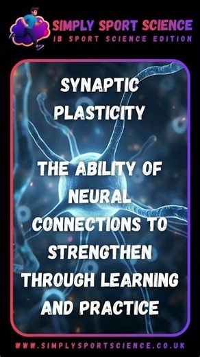 #SportsScience - What is Synaptic Plasticity?