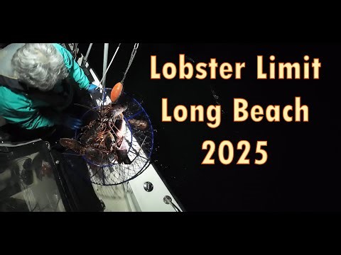 Lobster Fishing of 2025 - Long Beach California #lobsterfishing #hoopnetting