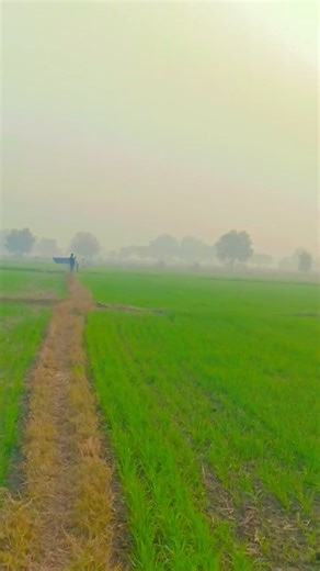 Sunil Panghal on Instagram: "Haryani ragni"