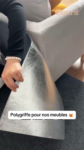 Ton chat détruit ton canapé ? 😳 #cats #chat #cat #accessoireschat