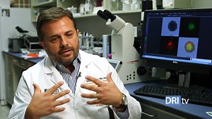 13K views · 56 reactions | What makes MSCs (mesenchymal stem cells) so exciting? They have shown several therapeutic benefits that may help islet transplantation. Learn more about MSCs and why DRI scientists are using them from Drs. Diego Correa and Norma Kenyon. All donations toward this work will be doubled through year end! | Diabetes Research Institute Foundation | Facebook