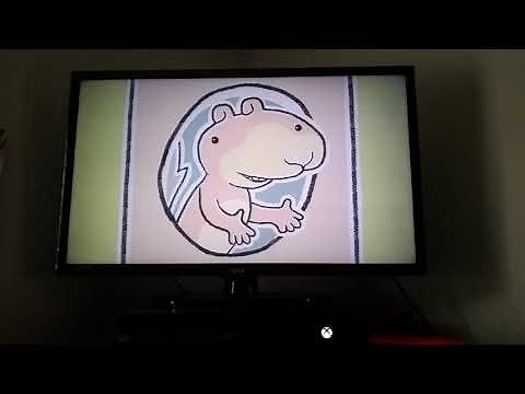 Scaredy Squirrel by Melanie Watt Weston woods and scholastic