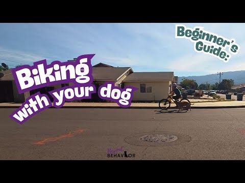 How to Bike with Your Dog!