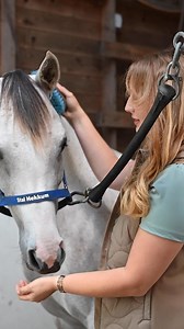 🐴 How to choose the safest horse fencing! There are many options, but which one is truly right for your horse? We help you make the best choice, so your horse can safely graze in the field. 📲 Discover how to choose the right fencing: https://www.gallagher.eu/navigation/e5379524c6084b48b58206e1e51a0aab | Gallagher Animal Management
