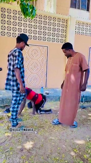 757K views · 2.6K reactions | Real Usman Inna on Reels | Facebook