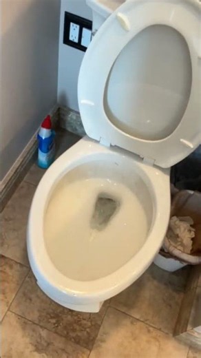 Jobs with Matthew: Master Bathroom Toilet Clog Cleared