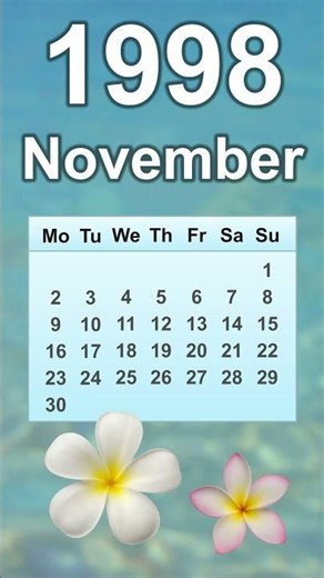 November 1998 Calendar