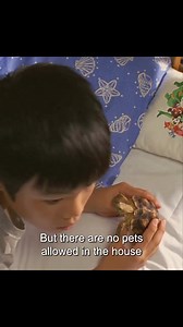 Gamera the brave 2006 #moviestowatch #reelsvideoシ #fypageシ | Loraine Estayan | Facebook