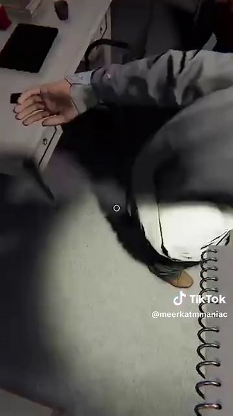 Scary Moments in Phasmophobia Gameplay Clips