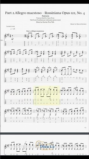 Part 2.Allegro maestoso - Rossiniana Opus 122, No.4 (Mauro Giuliani) for Classical Guitar