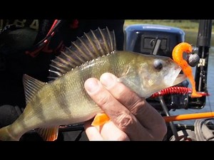 Ловля на джиг