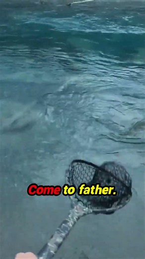 🤯 Witness the moment they land a true RIVER MONSTER! This Bull Trout is INSANE!