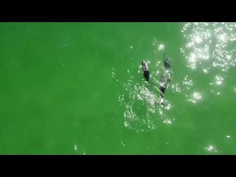 St Helena Bay, South Africa
