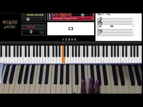 Learning piano keys in 60seconds|Beginners friendly Piano lessons 🎹
