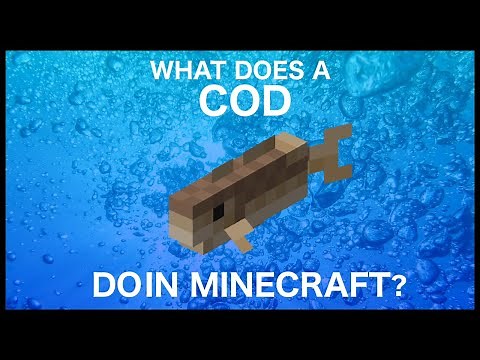How To Get Cod Fish In Minecraft?
