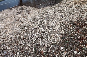 Compost, mulch, or bark: What’s best for a flower garden? Ask an expert