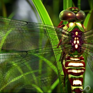 27 reactions · 14 shares | They laughed when I mentioned this free...