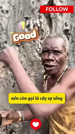 Có cây là có vợ😂😂😂#shorts #short #shortvideo #viral #viralshorts #trending #trendingshorts