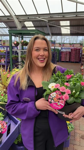 Spring is in the air at Caulders!! 😆🌸🌷💫🤩 #springiscoming #spring #caulders #cauldersgardencentre #gardencentre