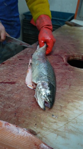 Perfect Fish Fillet in Seconds (No Waste!)