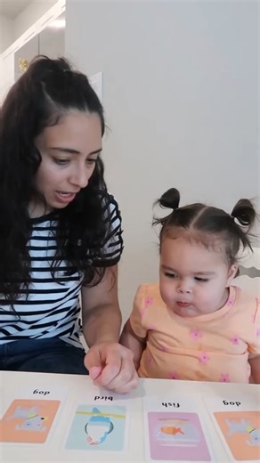 46K views · 2.7K reactions | Pets memory match game with Lessi 列...