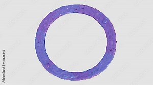 Liquid alphabet: letter O made from pink and blue HD animated liquid flows Stock Video