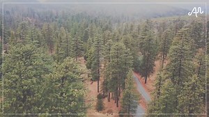 There's a new handyman in town. Listen: ffm.to/handymanremix | AWOLNATION