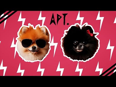 ROSÉ & Bruno Mars - APT. (Dog Version)