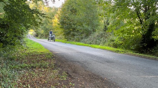 72K views · 2.5K reactions | Lovely welsh pony pair ready to go home now. Bright future ahead, we might see them on top level in a few years time  | Driving Connemaras | Facebook