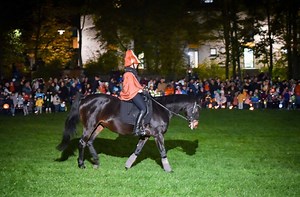 St. Martin in Stuttgart-Ost: Familien strömen zu Laternenumzug in den  Klingenbachpark