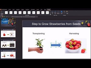 How to Insert and Style a Shape - ActivePresenter 8