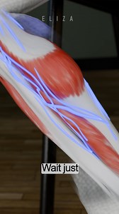 62K views · 2.5K reactions | Got a Leg Cramp? 例 DON'T STRETCH! Pull Your EAR Instead! (Bizarre Nerve Hack) | Eliza Zara | Facebook