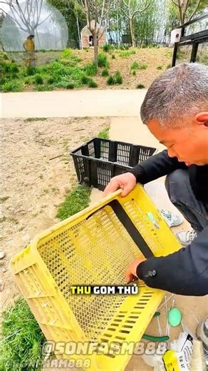 SECRETS TO MAKING A SUPER CHEAP SELF-ROLLING EGG SETTING BOX FROM SCRAP MATERIALS #shorts