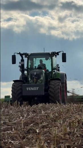 Fendt 516 Vario beim Maisstoppeln bearbeiten